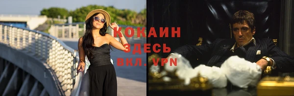 ГАЛЛЮЦИНОГЕННЫЕ ГРИБЫ Бронницы
